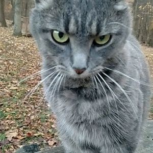 Meet your Posher, Verna